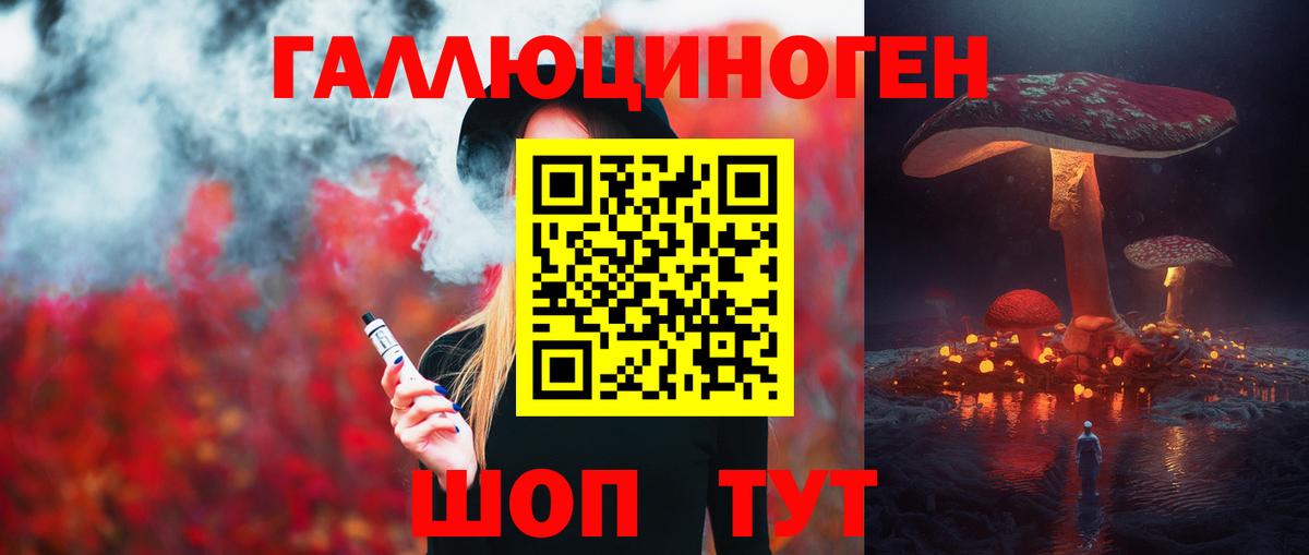 Псилоцибиновые грибы Psilocybe Армавир