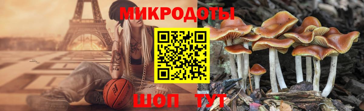 Армавир  Галлюциногенные грибы GOLDEN TEACHER  Вход с VPN 